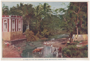 A FORD IN THE RIO GRANDE, NEAR MAYAGUEZ, PORTO RICO